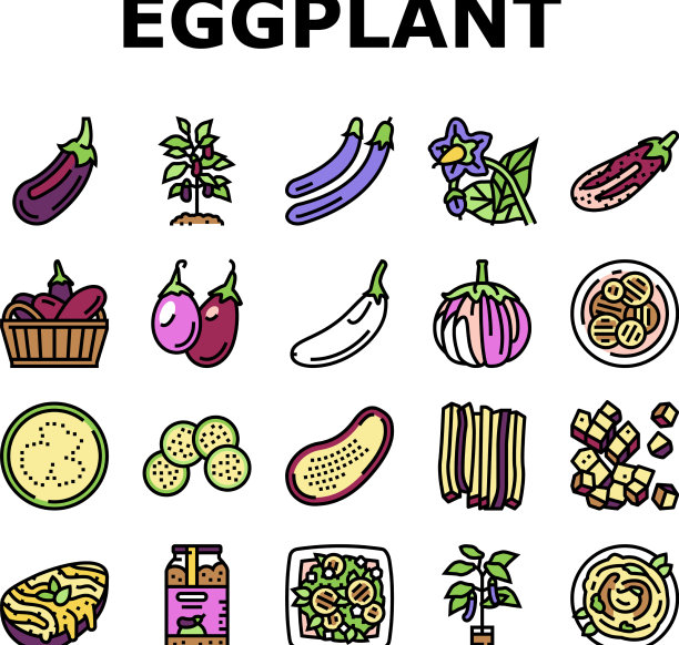 茄子维他命生物蔬菜图标集图片下载