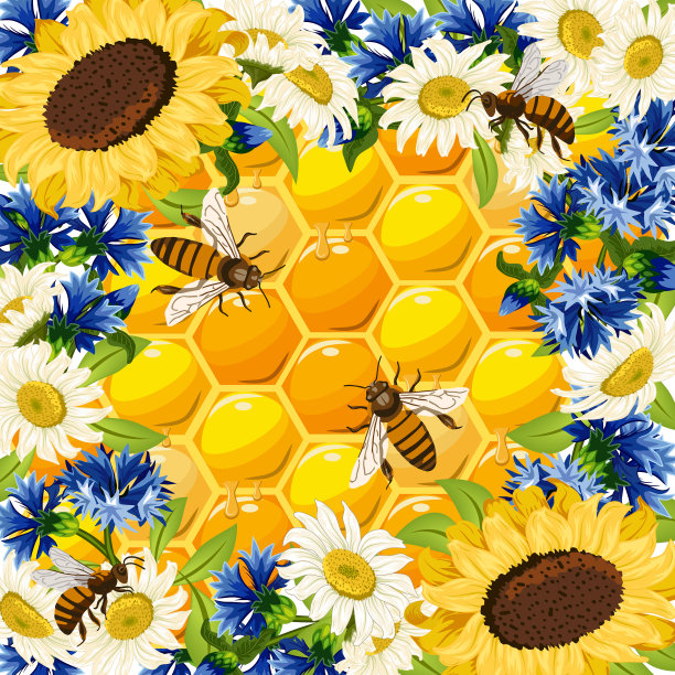 鲜花和蜜蜂的蜂巢图片下载