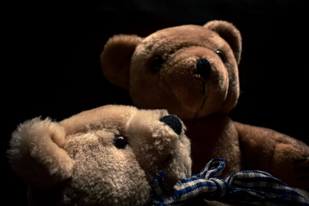 两个毛绒玩具熊的特写图片下载