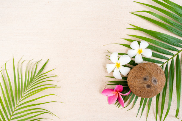 海滩上棕榈叶上的椰子。图片下载