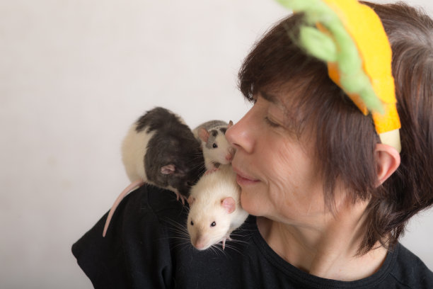 女人与宠物老鼠特写图片下载