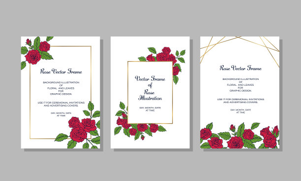 一套卡片设计。用玫瑰装饰的花设计的框架。白底红花。图片下载
