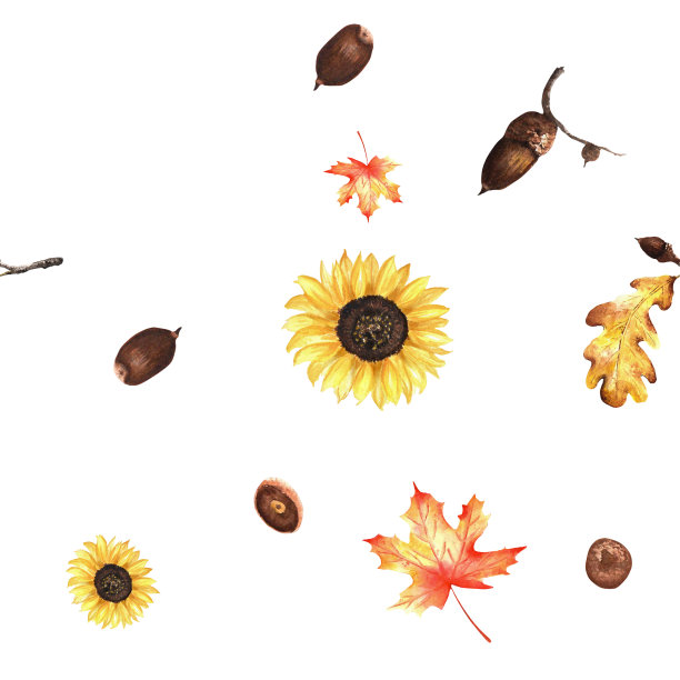 水彩画秋天模式。秋季花园系列。一套水彩插图，包括向日葵、枫叶、橡树叶和橡子图片下载