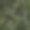 一个抽象的光点和模糊的六边形背景的插图，如散焦斑六边形形状的粒子在黑色背景图片下载