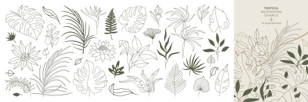 植物组素描花图片下载