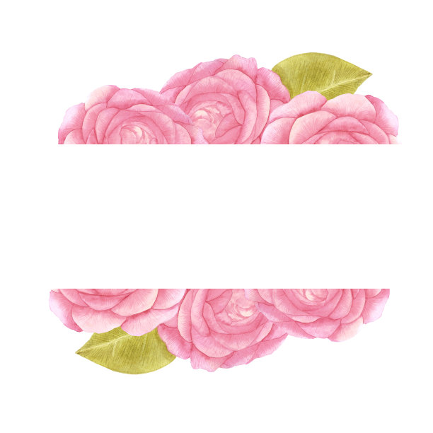 手绘水彩粉红色玫瑰框架与绿叶在白色的背景。剪贴簿设计，排版海报，标签，横幅，明信片。图片下载