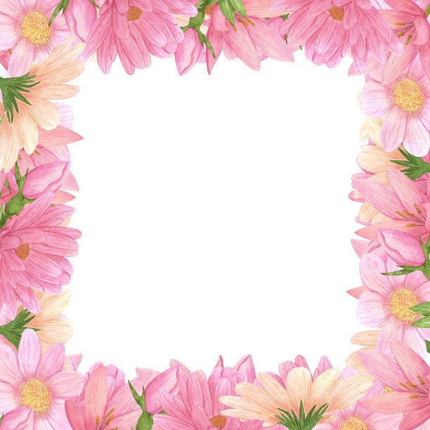 Handdrawn aster框架。水彩风花板上的白色背景。剪贴簿设计元素。印刷海报，婚礼卡，标签，旗帜设计集。图片下载