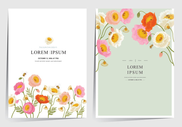 小狗花框架设置孤立的现实的花朵，枝，叶矢量图像。手绘草图的基础线艺术矢量插图图片下载