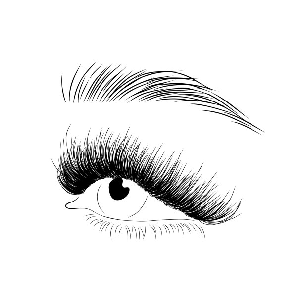 逼真的睫毛在白色背景。女性睁开眼睛和眉毛。贴合和延长睫毛。美容工作室的标志。线性矢量插图在时髦的极简风格图片下载