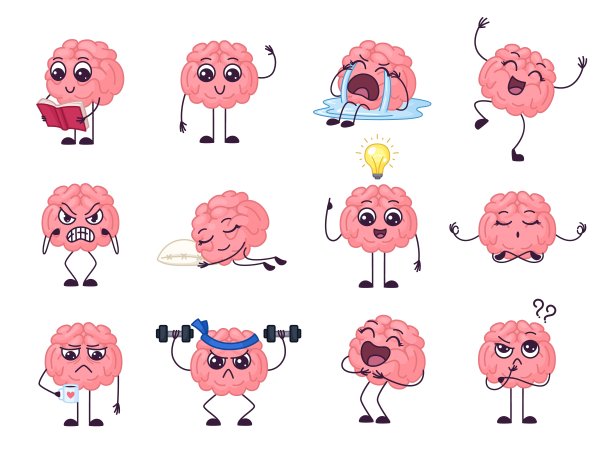 卡通大脑的性格。智力健康，情感有趣开心，大脑悲伤。头脑睡眠，做习题，思考新点子，花哨向量集图片下载