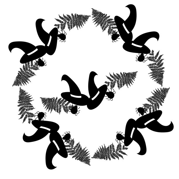 框架与帽子和蕨图片下载