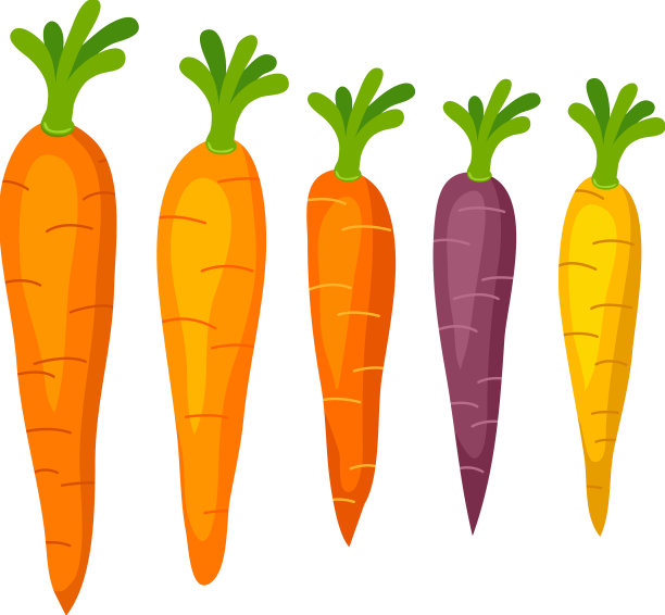 一套绿色的胡萝卜图片下载