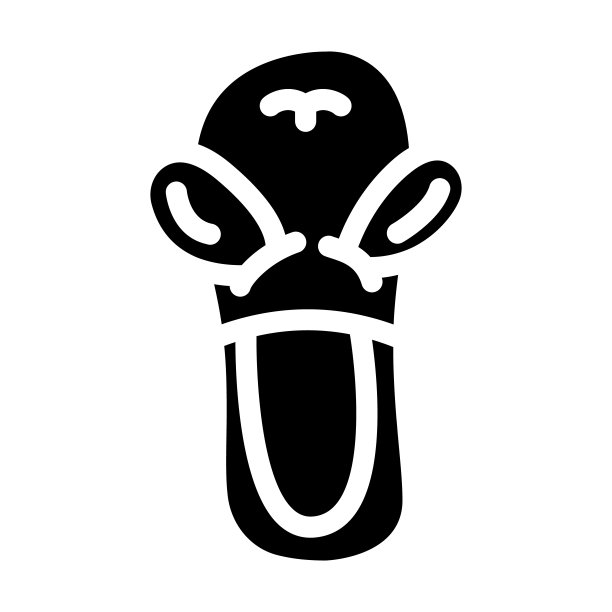 鞋与动物耳朵装饰字形图标矢量插图图片下载