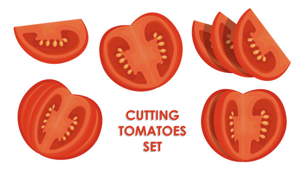切西红柿。西红柿楔形和切片，切成两半，切成薄片，用来做沙拉和零食。平面卡通矢量孤立在白色背景图片下载