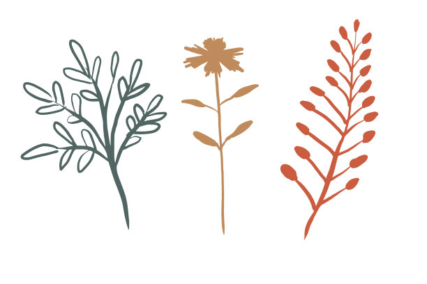 手绘分枝剪影花集图片下载