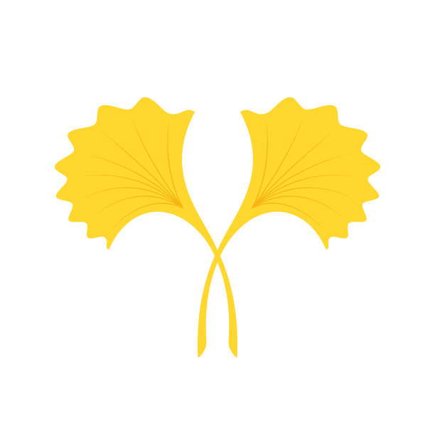 银杏的象征。卡通平黄色银杏叶上孤立白色。传单有机图标。化妆品和药用植物的图标。图片下载