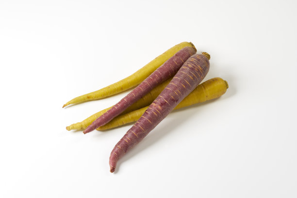 白色背景的彩色胡萝卜图片下载