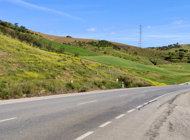 草地上的路图片下载