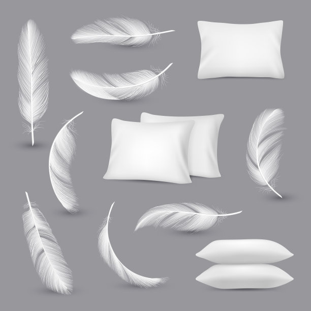 白色枕头风羽毛卧室矩形图片下载