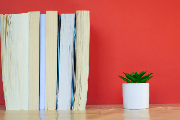 小花盆和几本书笔直地排列在书桌上图片下载