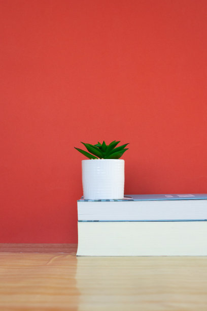 一张桌子的照片，上面放着两本书和一个红色背景的小花盆图片下载