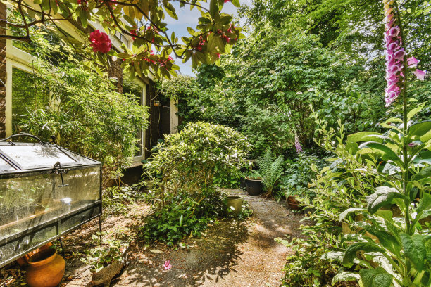 蓬乱的花园外观图片下载