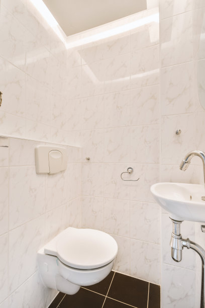 带马桶和洗手池的盥洗室图片下载