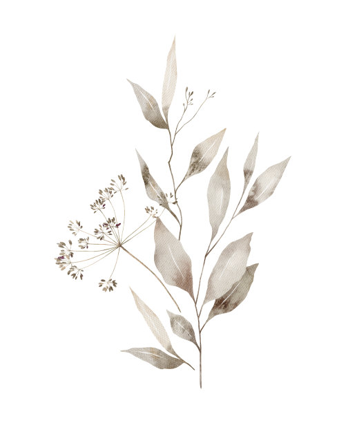 水彩花卉花束图片下载