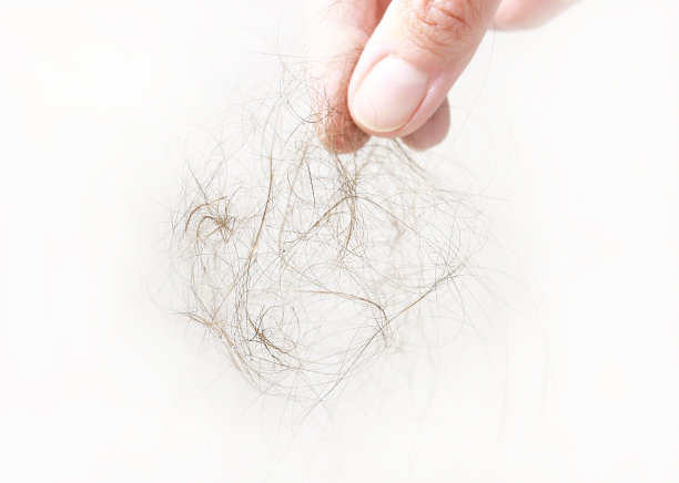 女性淋浴后的一簇头发湿了。头发掉的疾病。图片下载