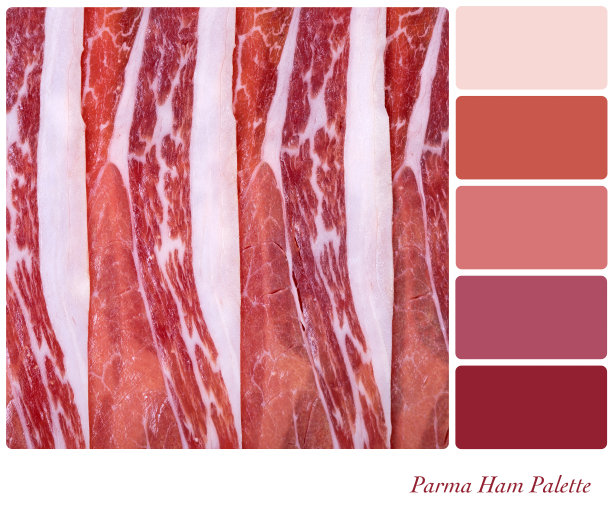 帕尔马火腿调色板图片下载