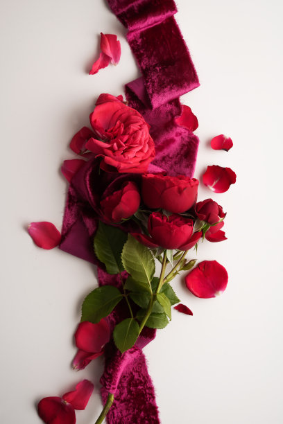 浪漫的装饰。组成与天鹅绒丝带与红玫瑰花瓣和叶子在一个明亮的背景图片下载