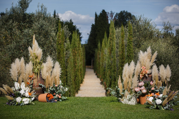 橄榄花园的户外婚礼拱门图片下载