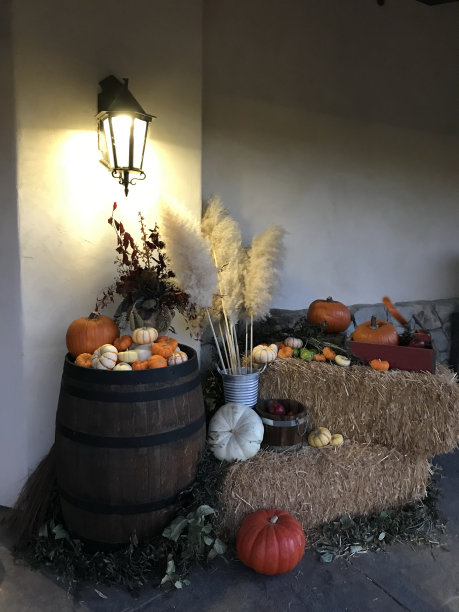 装饰户外秋天秋天万圣节感恩节展示图片下载