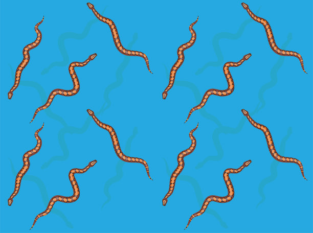 动物彩虹蟒蛇无缝墙纸背景图片下载