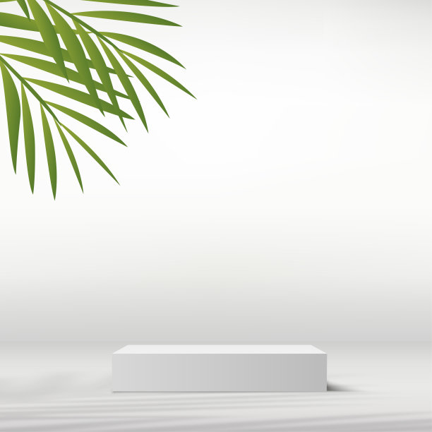 白色讲台在白色背景的产品介绍。向量图片下载