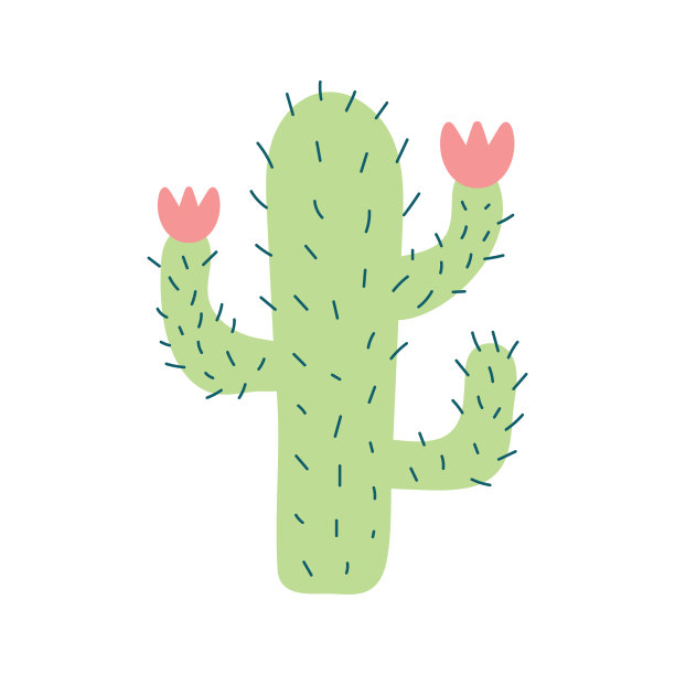 可爱的多肉植物或仙人掌花。图片下载