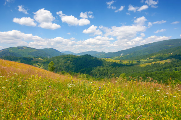 青山上的绿野图片下载