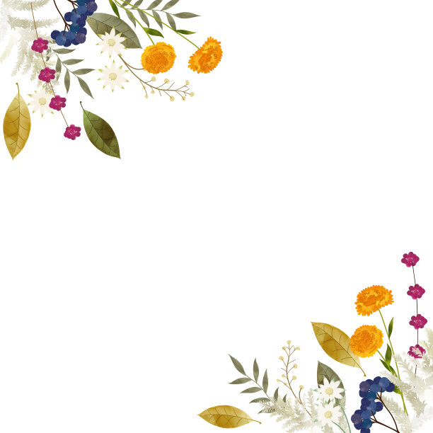 秋叶和坚果的背景插图。图片下载