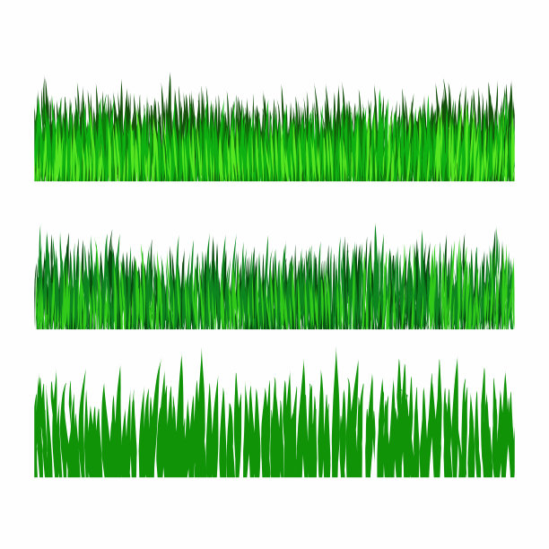 白色背景上的一组不同的草坪草图片下载