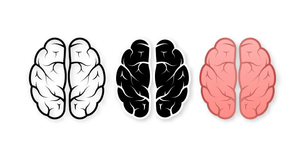 人类大脑的医疗。内部器官。神经网络。头脑风暴,想法。图片下载