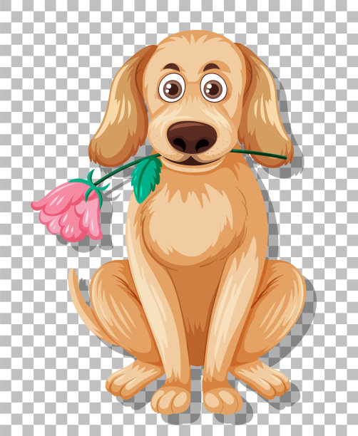 可爱的狗在网格背景图片下载