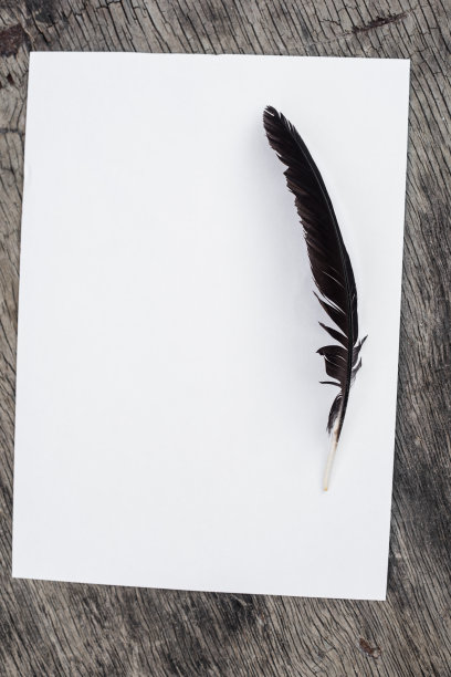 一支羽毛笔和一张纸图片下载