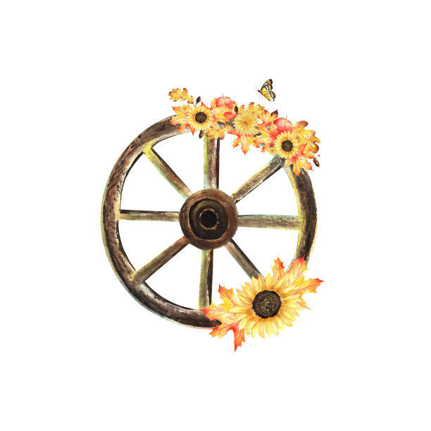 一个带着花的旧木轮。一幅秋天的花园作品。一套以秋收为主题的水彩插图。一个古老的木轮，上面有五颜六色的南瓜、向日葵和万寿菊图片下载