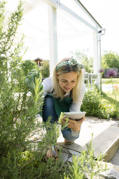 漂亮的年轻女子系着绿围裙，在香草园里工作，手里拿着写字板图片下载