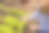 一个在花园里工作的白人男孩通过放大镜研究生菜叶子，寻找害虫。图片下载