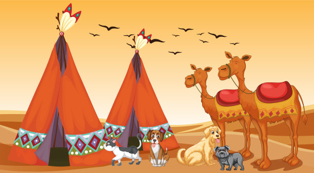 沙漠里的一组不同的家畜图片下载