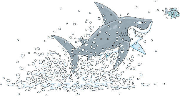 一条大白鲨和一条小鱼在跳图片下载