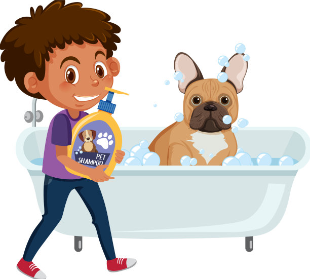 一个男孩正在给她的法国斗牛犬洗澡图片下载