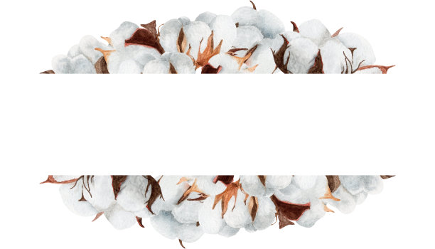 水平棉框架上孤立的白色背景。用于设计社交媒体、文具、印刷品等。图片下载