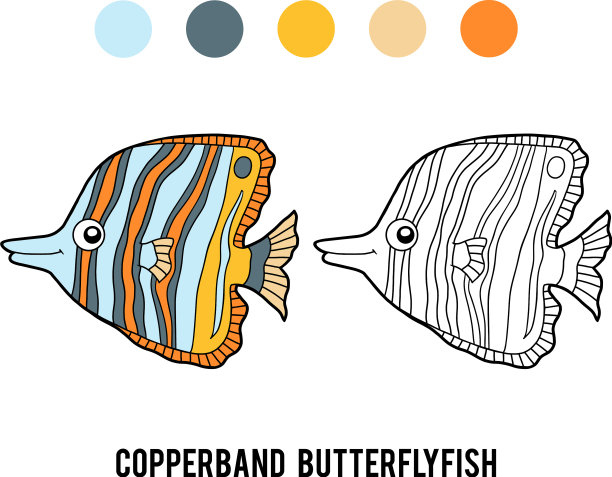 彩色书铜带蝴蝶鱼图片下载